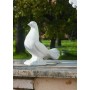073934 Animali