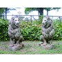 14211 Tiere